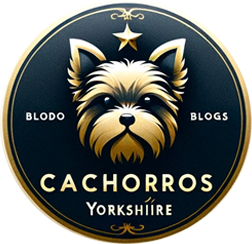 boton para cachorros de yorkshire